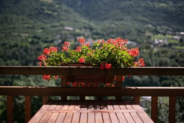 2024 5 Fattoria Roven William Novelli Wil3691