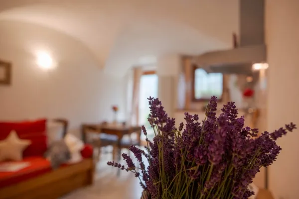 Fattoria Roven Monolocale Gatto 3036