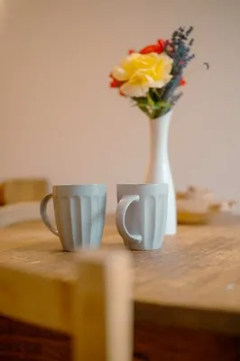 Fattoria Roven Monolocale Gatto 3049