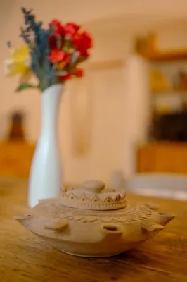 Fattoria Roven Monolocale Gatto 3051