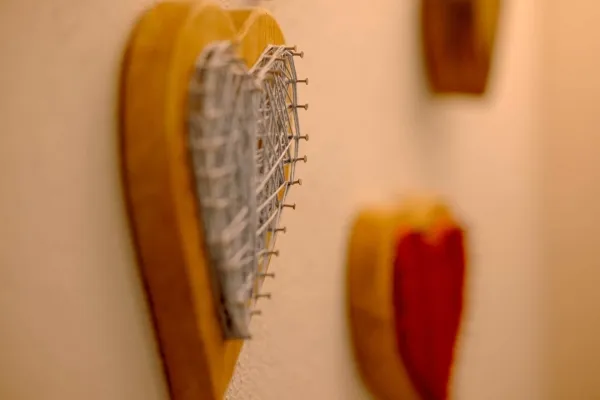 Fattoria Roven Monolocale Gatto 3054