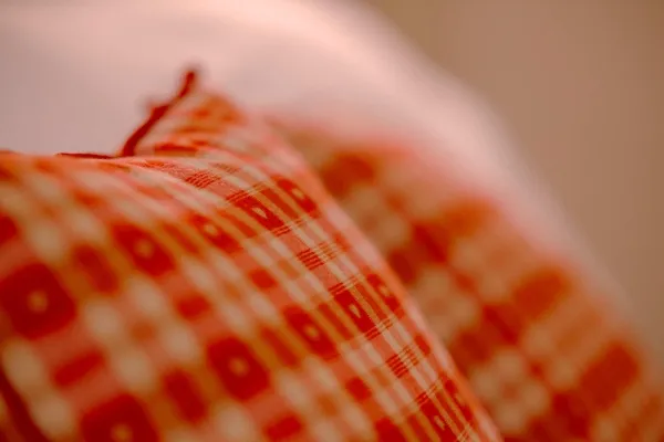 Fattoria Roven Monolocale Gatto 3056