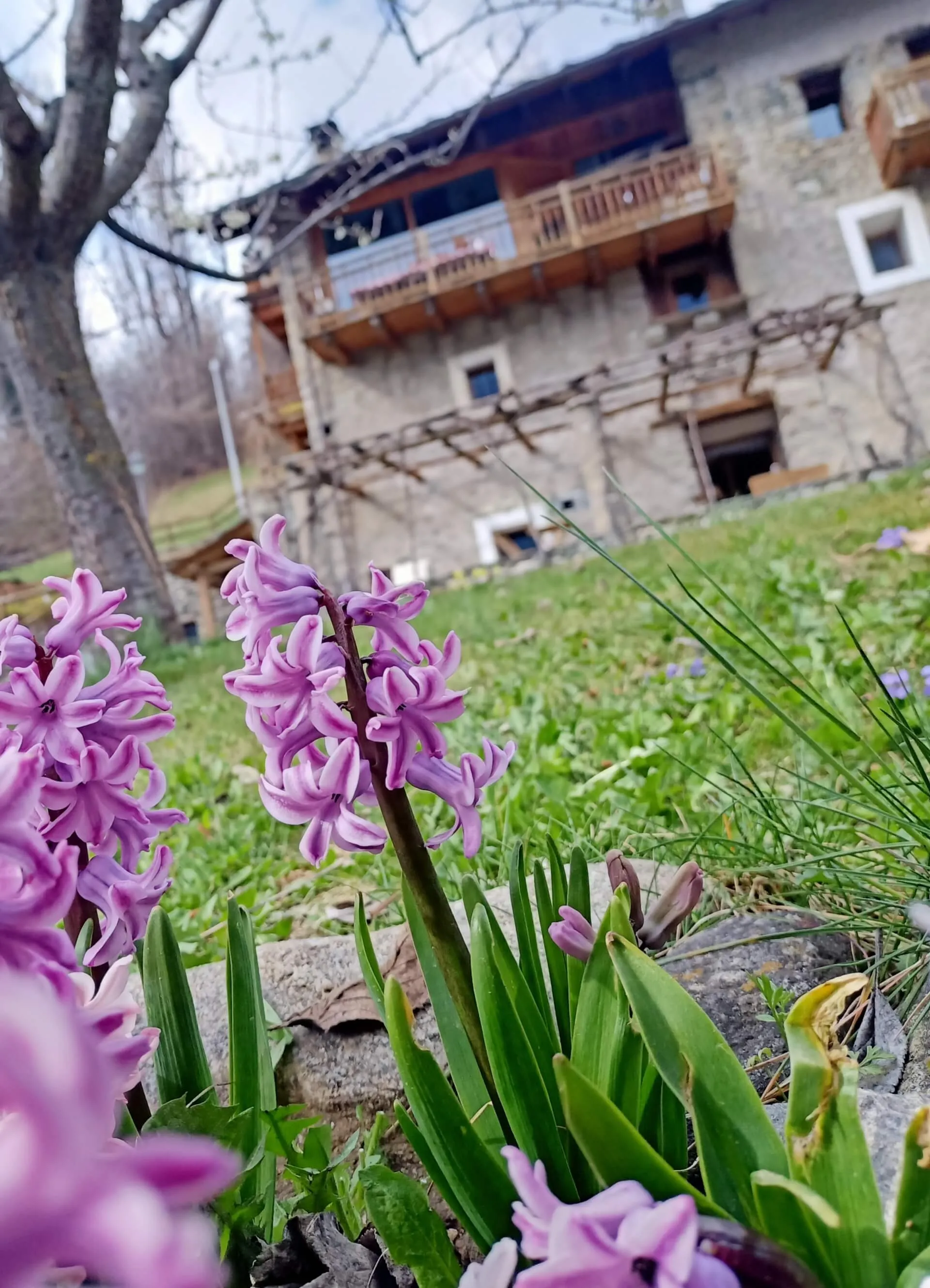 Casa Vacanze Esterno 02