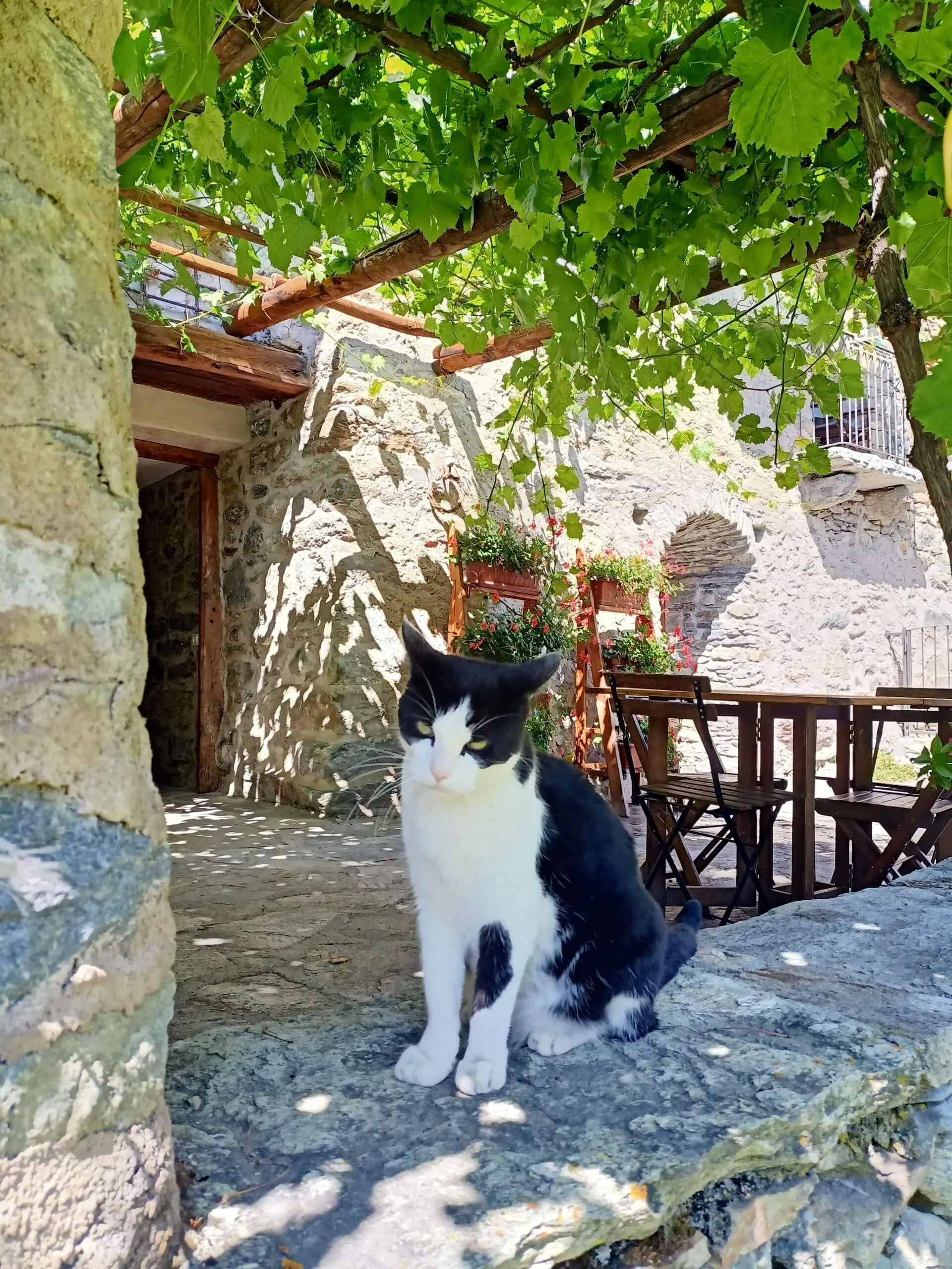 Casa Vacanze Esterno 05